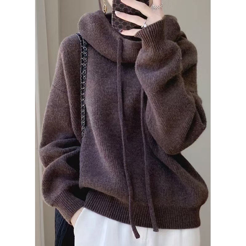 Brown Solid Cozy Wool Knit Sweater Hooded Spring