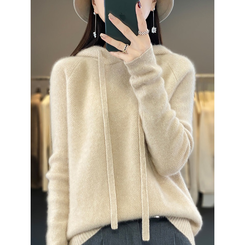 Women Winter Wool Solid Hooded Sweater